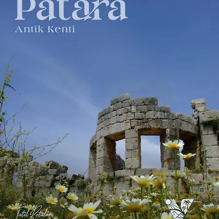 فيلة Alen كاس