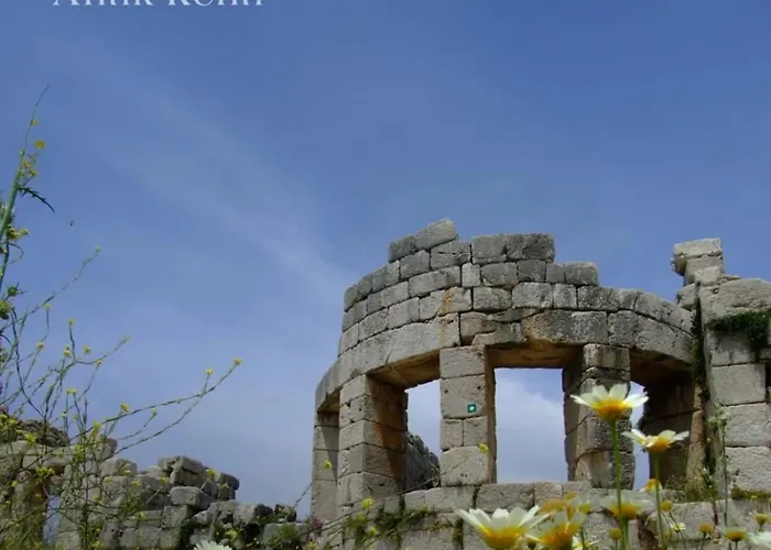 فيلة Alen كاس